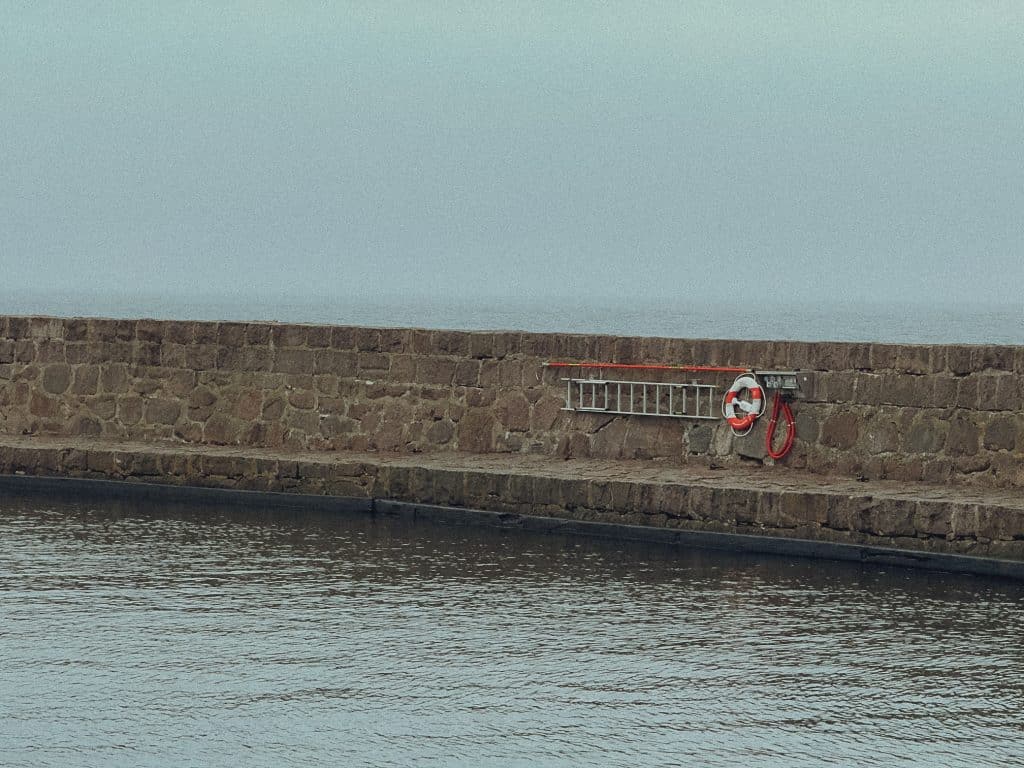 1651FAA7 504C 44BB BCBE 577A2816E08EIMG 3454