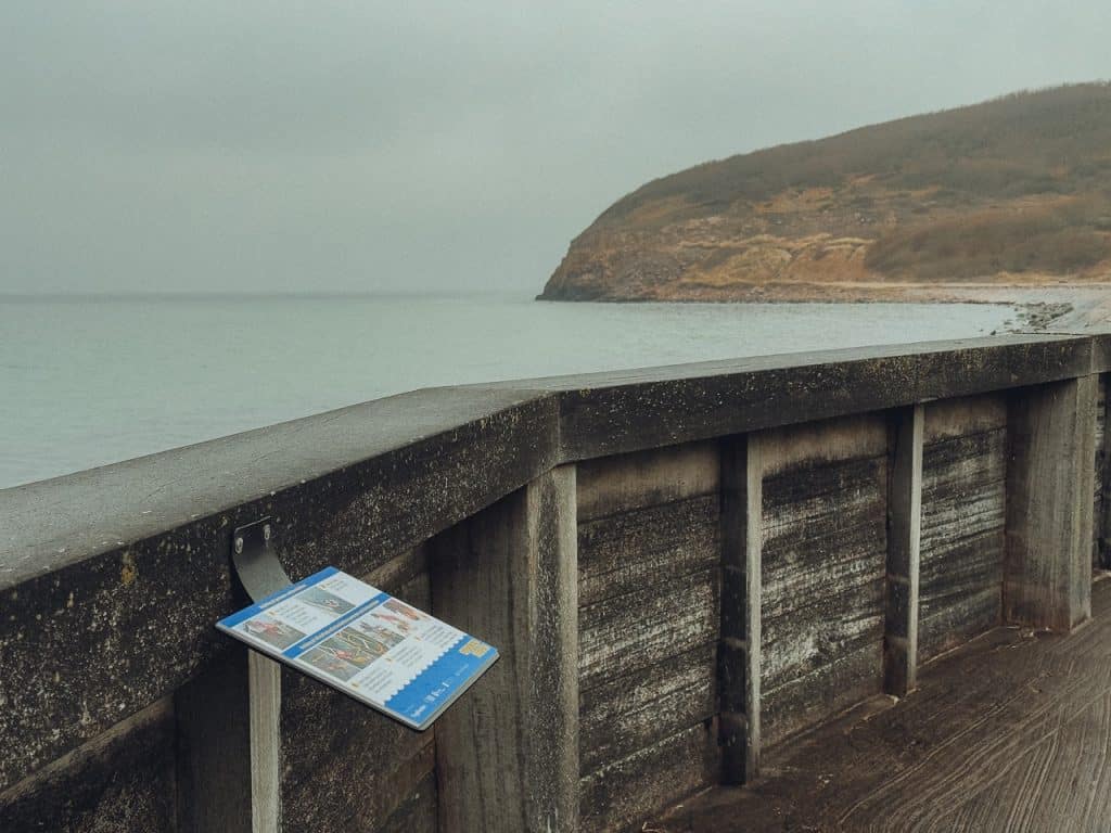 BC2242BF 9060 4FCE A0C9 4F9AA9B011D6IMG 3406 stor